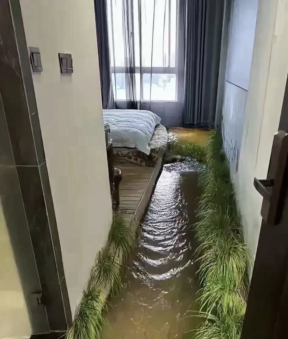 真有人住这样的民宿吗