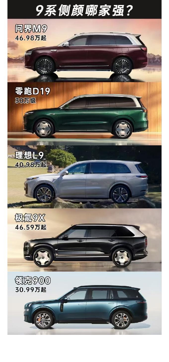 D19侧颜最美今年称为9系车元年一点也不为过，产品力上各有千秋，但是9系车我觉