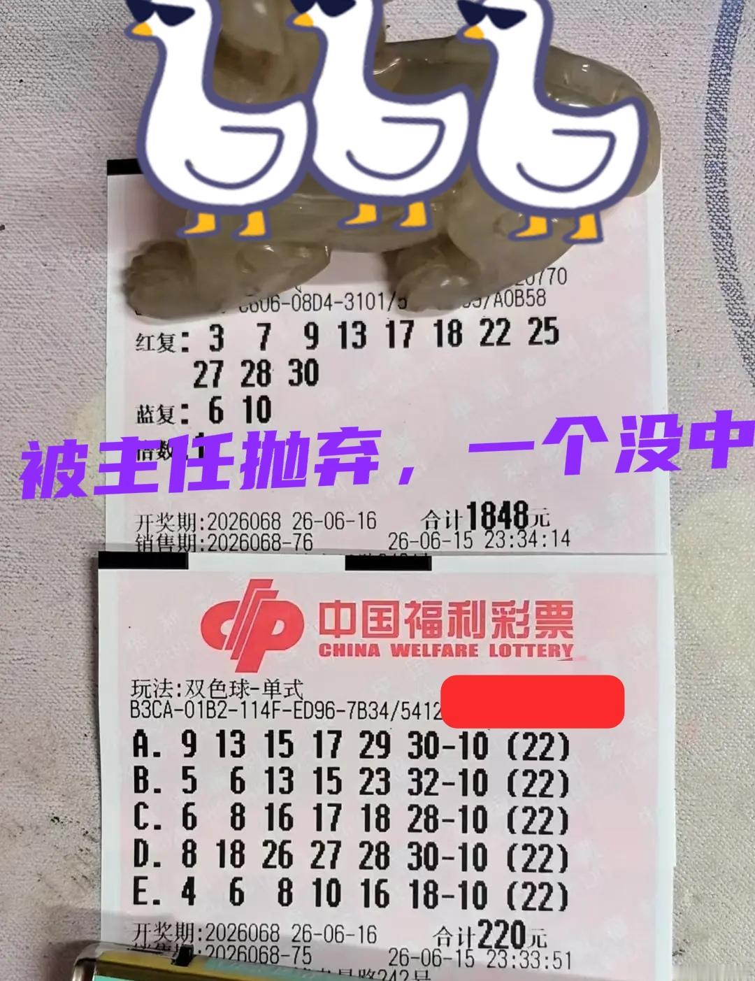 大佬还是失败了！大复式和单式票全都没中，被主人无情地抛弃。反正就紧挨着你旁边号来
