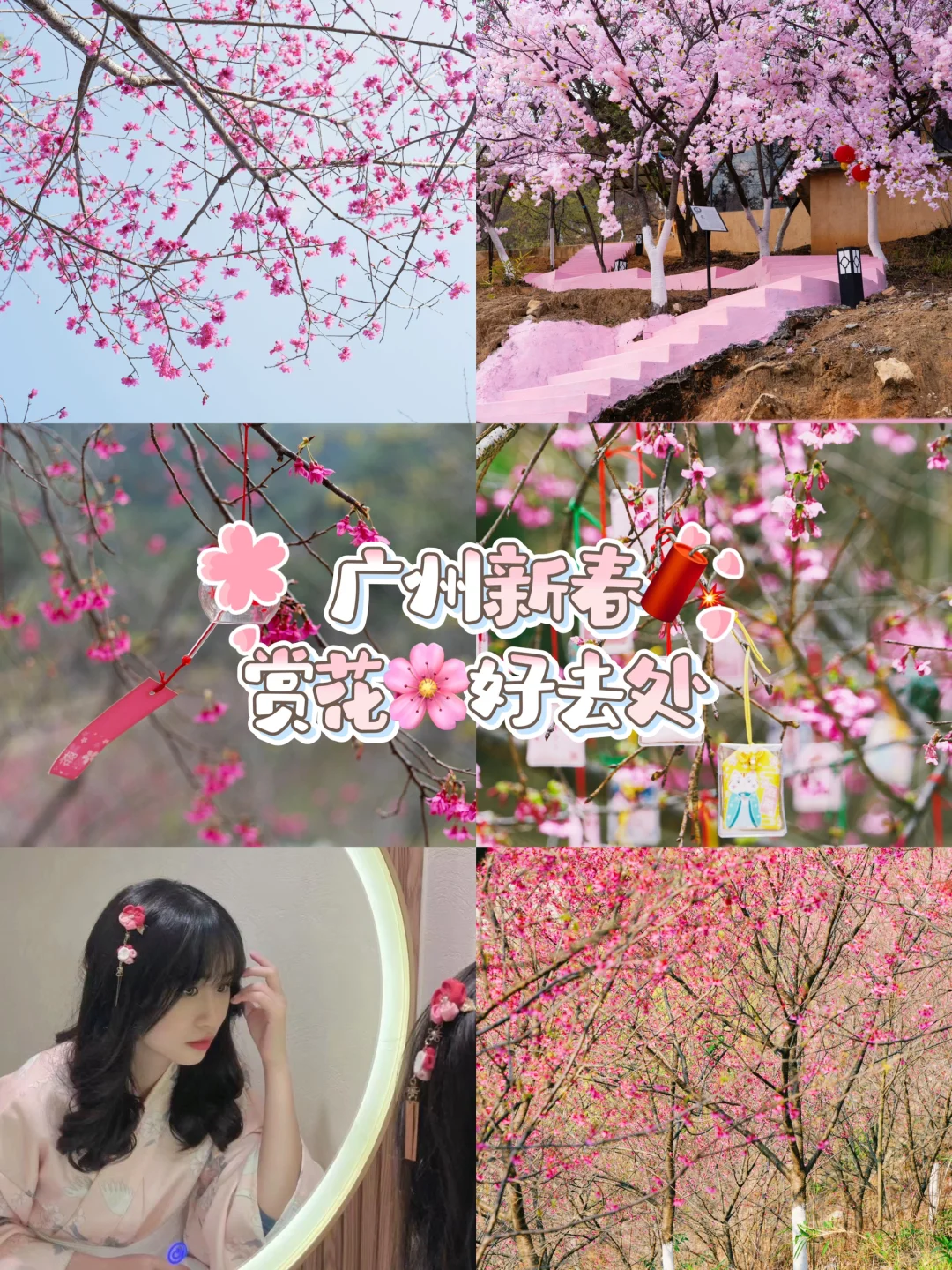 get❗️一份广州新春🧨赏樱花🌸好去处攻略😉