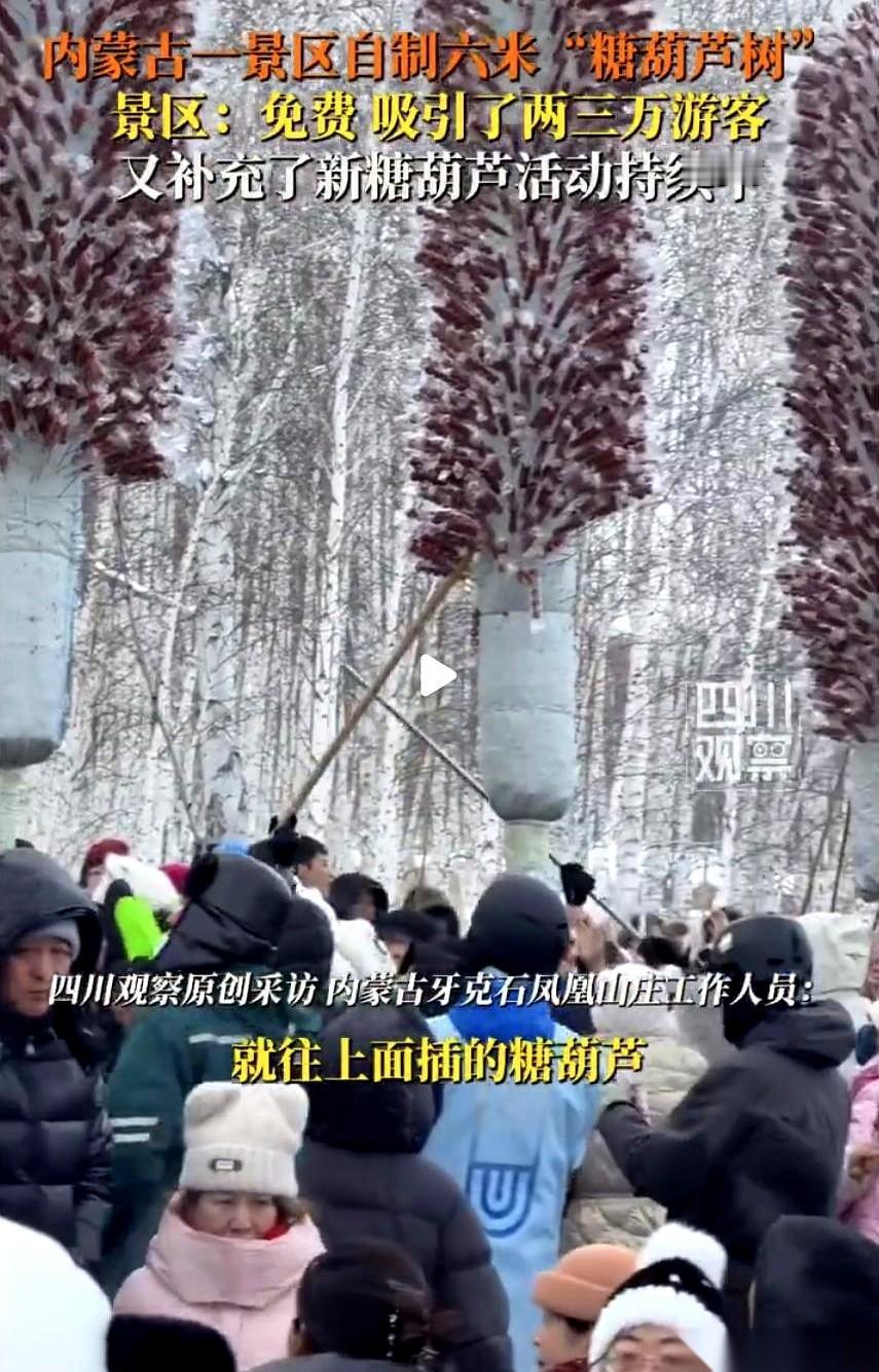 内蒙古有几棵树，六米高，上面不长叶子，长满了糖葫芦。谁都能摘，不要钱。摘完了