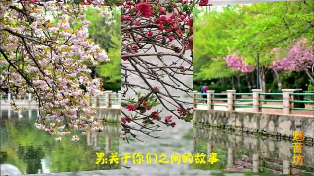 伤心城市 云菲菲