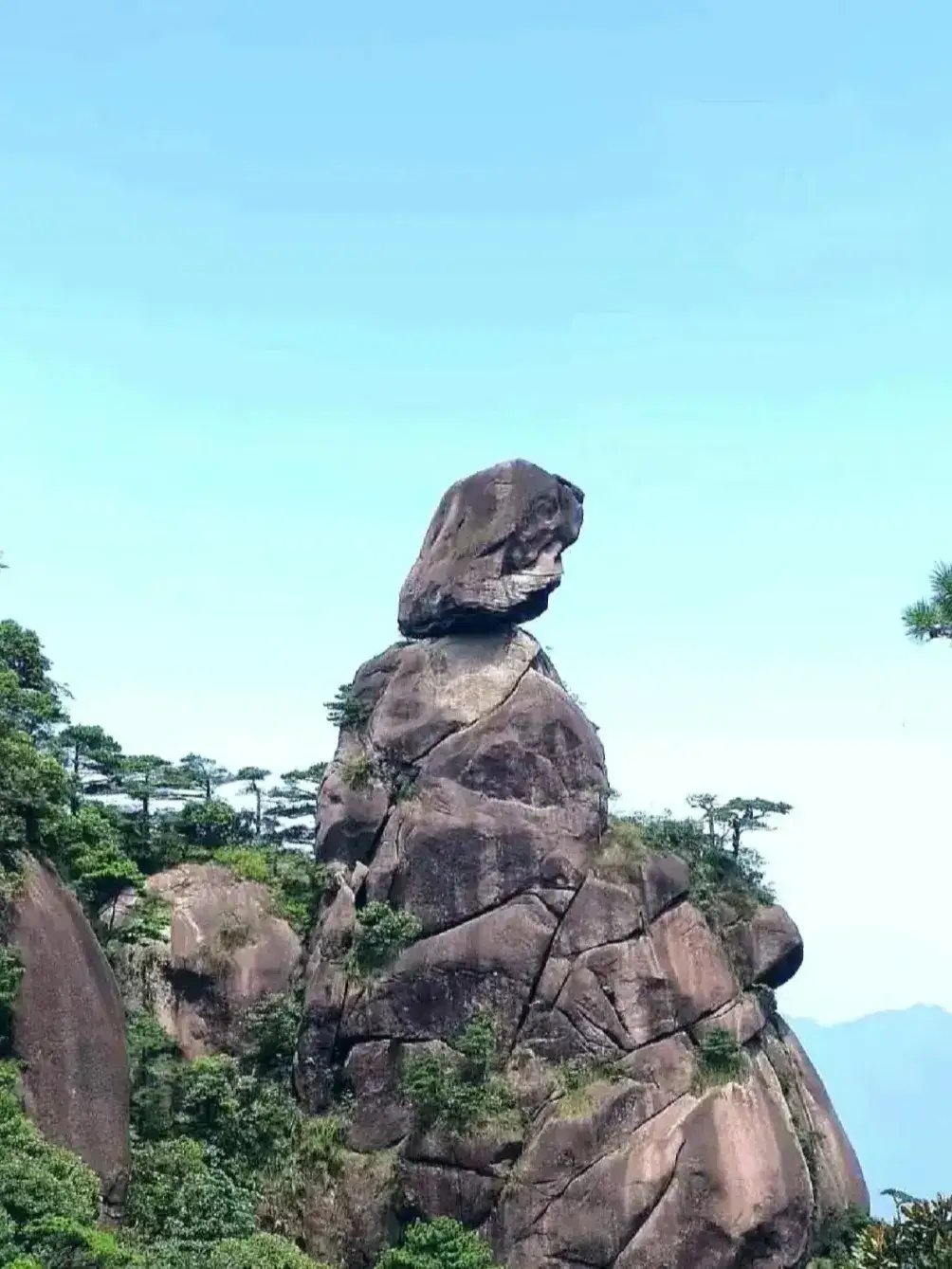 希特勒不喝酒，他认为：这酒麻痹了神经，更是让人头脑不够清醒，很容易使人在干事情的时候作出错误判断，因