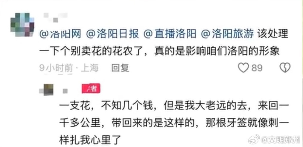 游客在洛阳被一根牙签扎了心【“牙签牡丹”刺痛游客心：洛阳集市售“断头花”引热议】