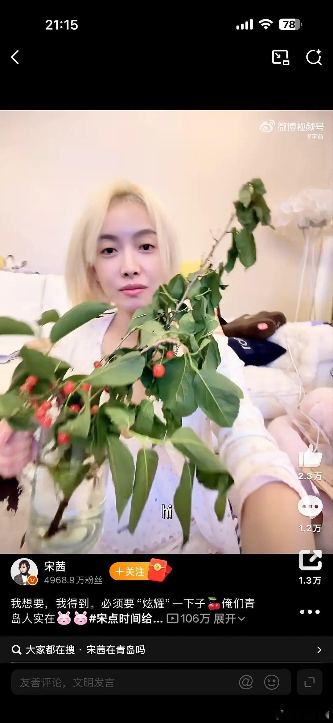 宋茜现在长这样