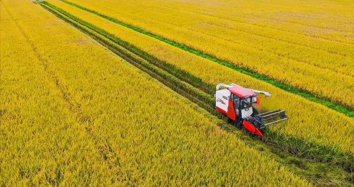 钱花对地方了吗, 支农资金怎么花, 才能既增产又护绿?