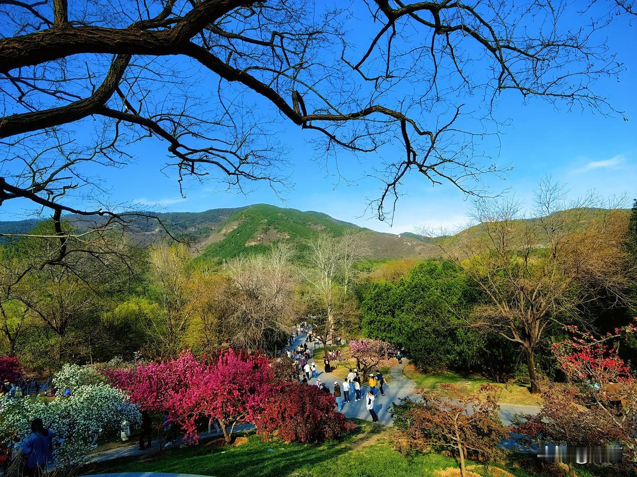 老年生活感悟：老年人，学会装傻，是人生大智慧。我们步入晚年了，才慢慢明白，