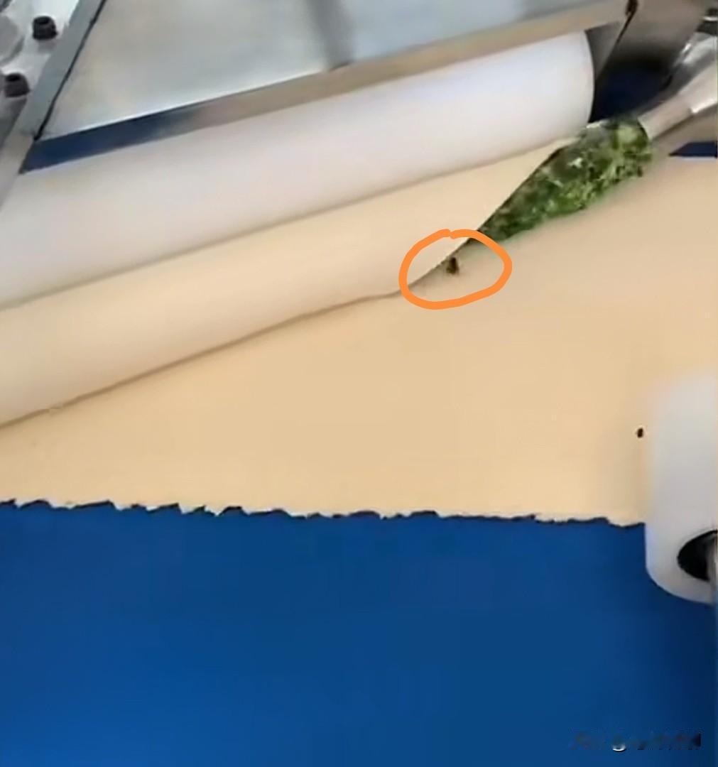 不知道大家平时在外面吃小笼包的多吗？看了下面的图片，估计以后都不会吃了。你看这机