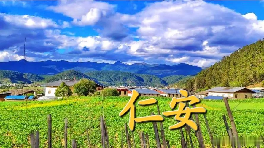 小方可贵，不可轻视：黄连苏叶汤应对呕吐黄连苏叶汤治呕吐摘自《黄河医话》（1994