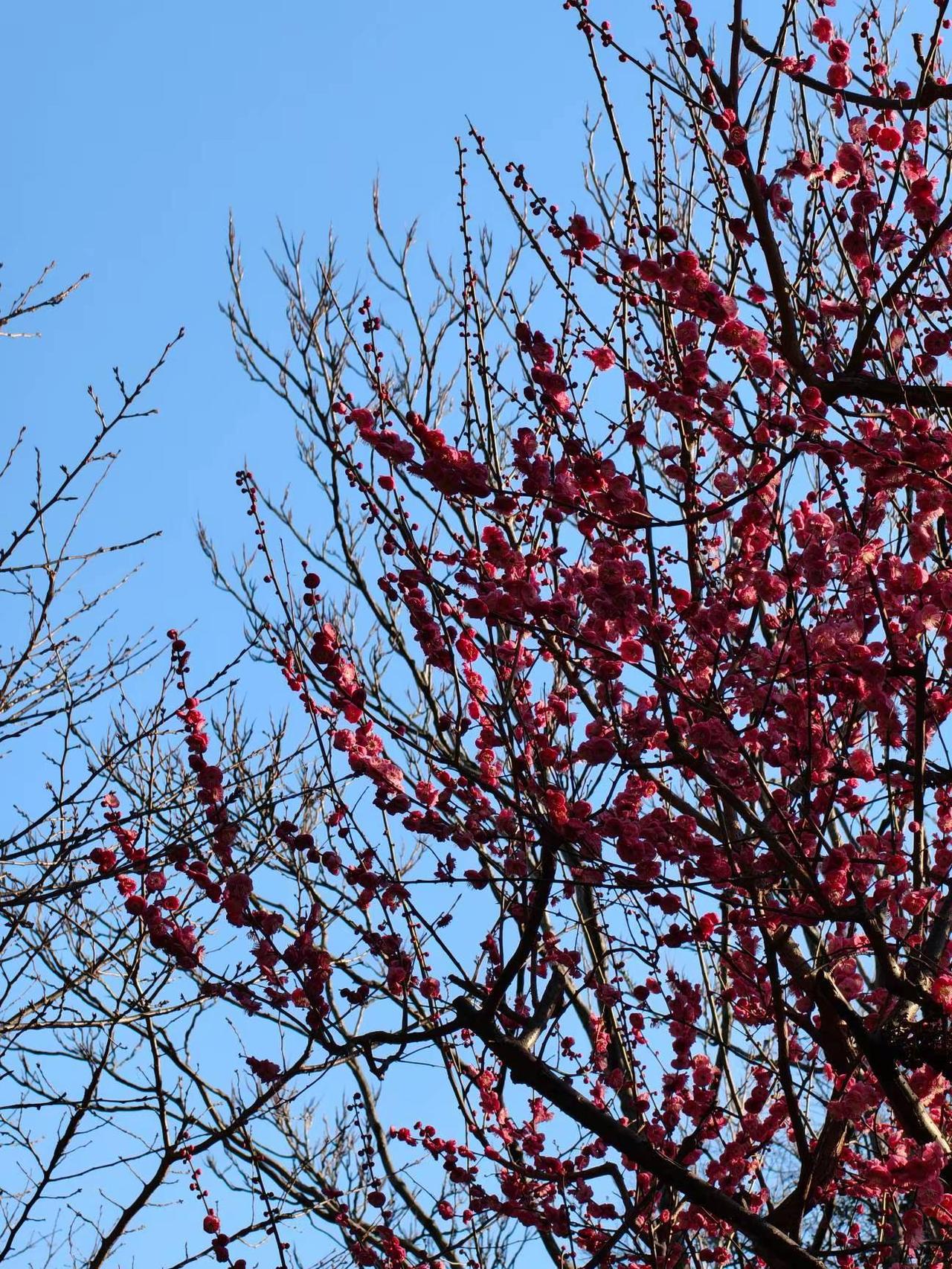 我用摄影看世界我的摄影日记享受大自然记录身边美景