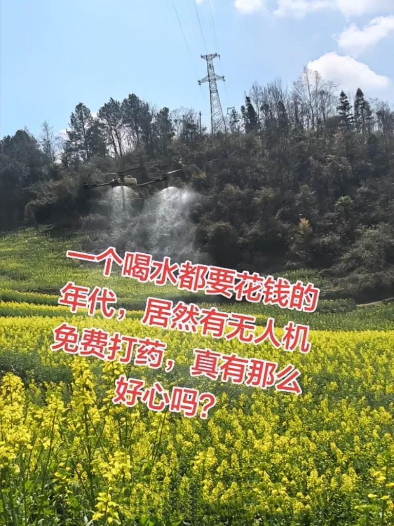 油菜花期能不能打药，最近吵得太凶了！别再被极端情绪带偏了，这事根本不是非