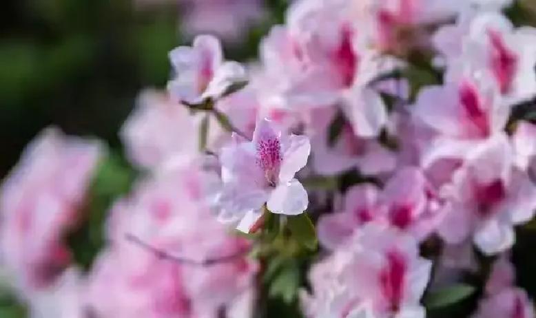 很多姐妹都遇到过这种事儿：本来感情挺好，可男人一犯这几个毛病，女人就算再舍不得，