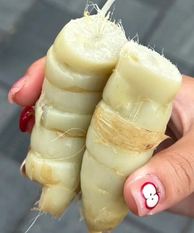 谁知道这是哪里的特色美食