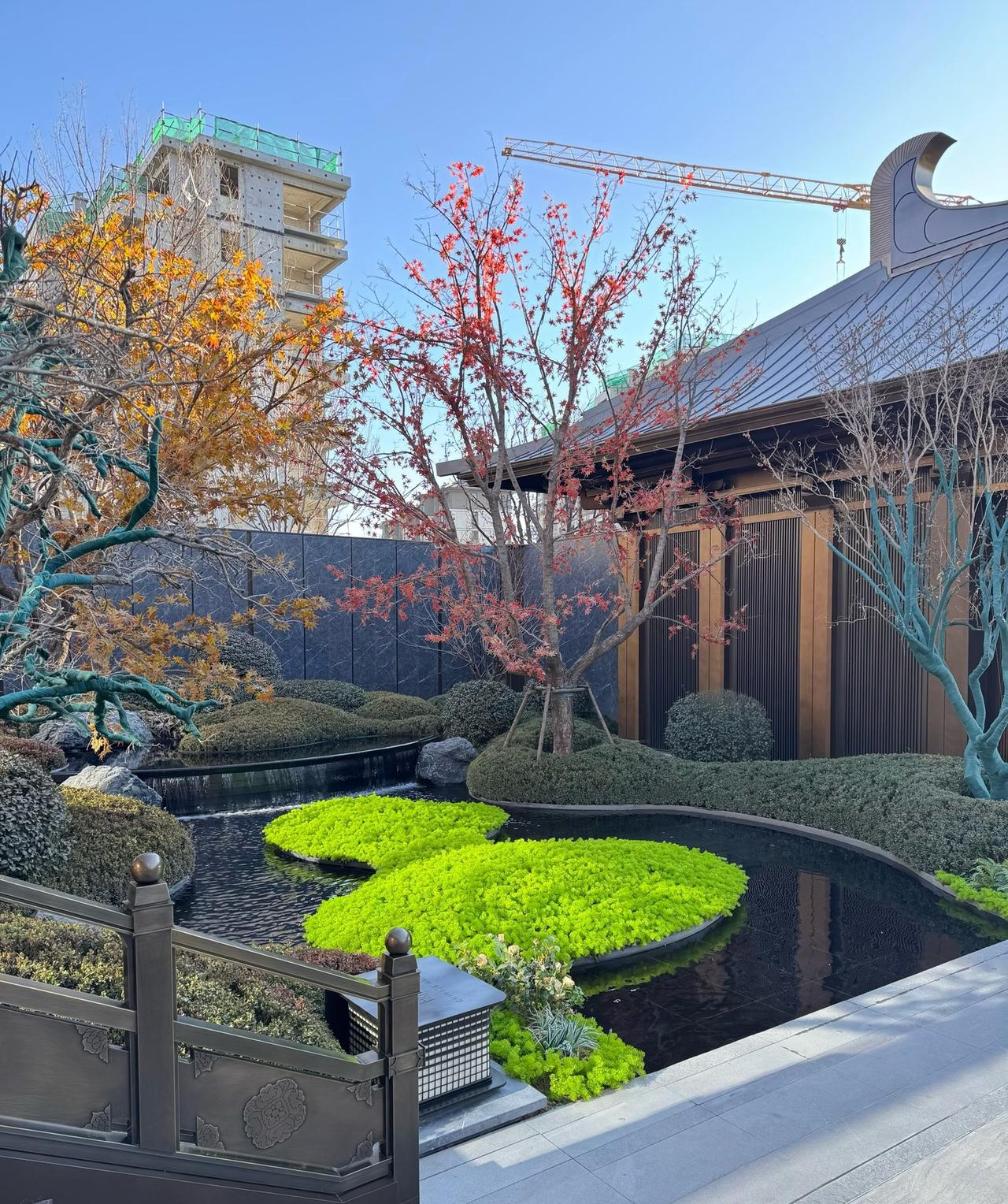 网红“一路向北”的“跌”，和专家孟晓苏的“涨”谁说的对？你更相信谁？目前，市