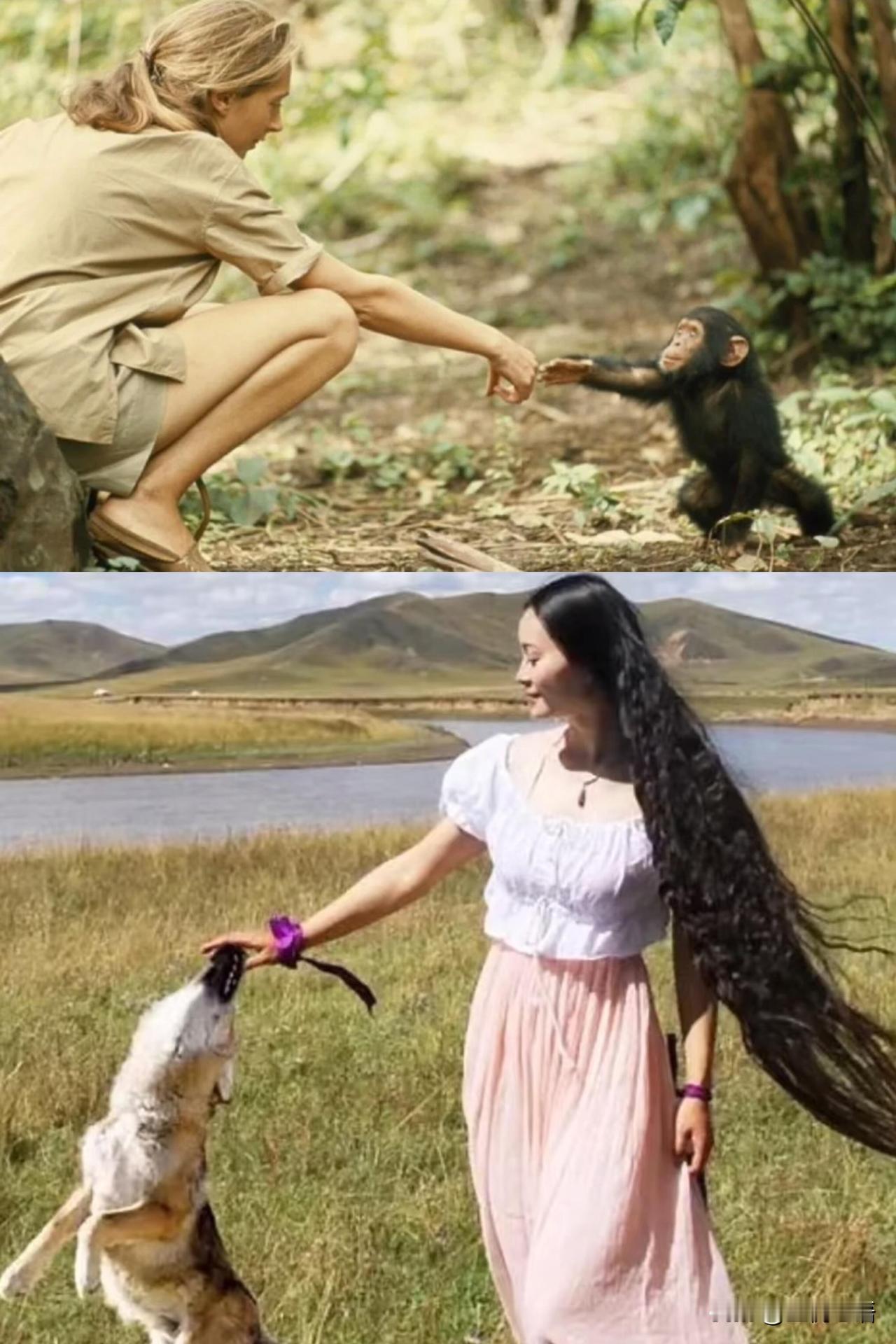 突然明白人类失去母亲已经很久了，这句话。原来母亲和妻母，从来都不是一个意思。