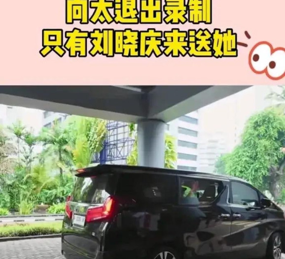 在《<em>一路繁花</em>》的录制过程中，发生了<em>一</em>件让人意外的事，向太退出了节目的录制。而在向