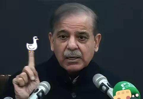 巴基斯坦也下场了！巴基斯坦突然重兵挺进沙特，带的全是清一色的中国防空导弹，这根本