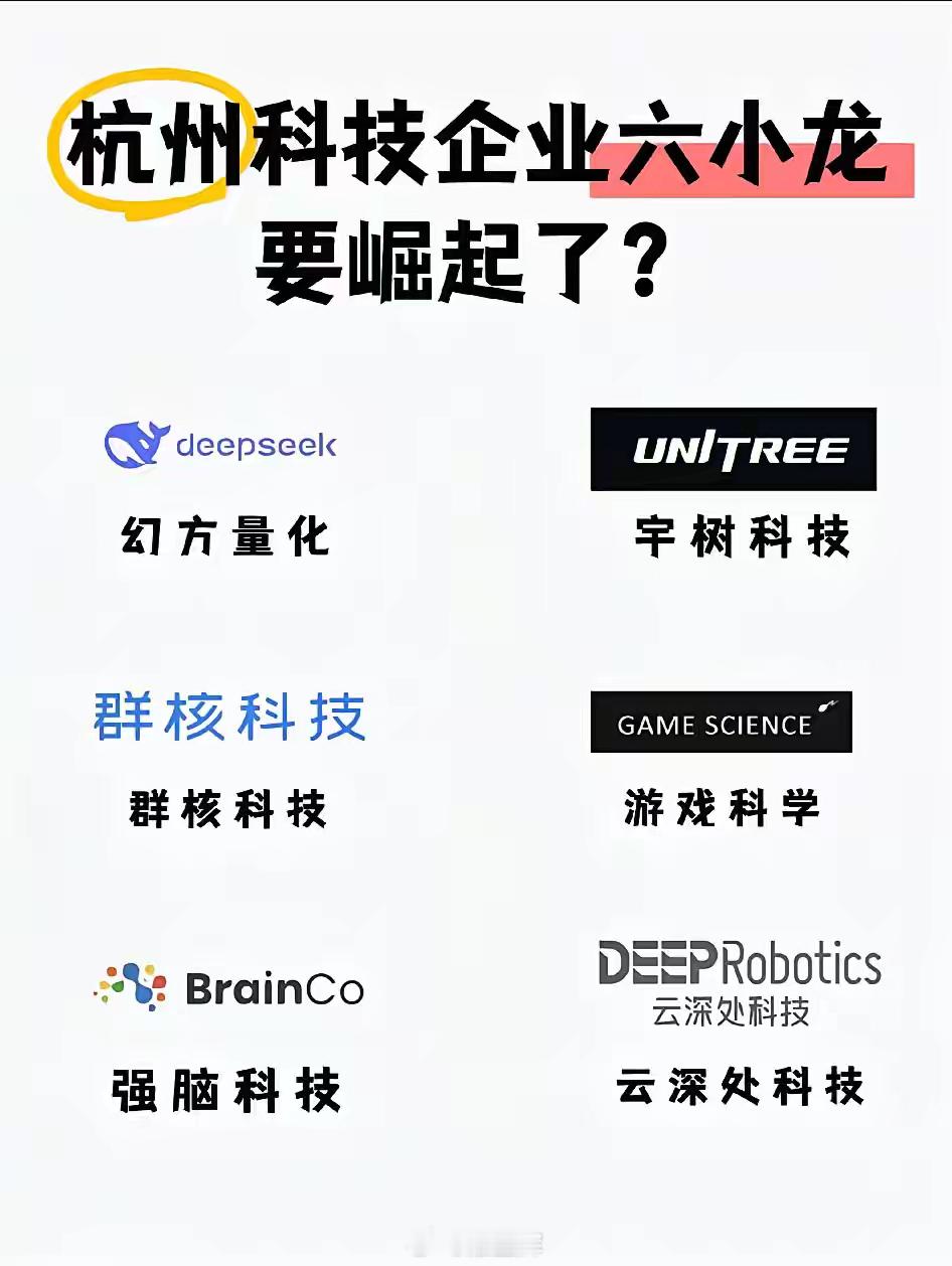 杭州科技企业六小龙：1、Deepseek（幻方量化），专注算法，用极低成本训练出