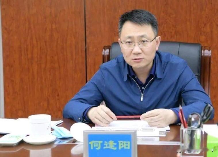 让人震惊！合肥市市委书记费高云刚落马，合肥市副市长何逢阳也被查了！6月13日，有