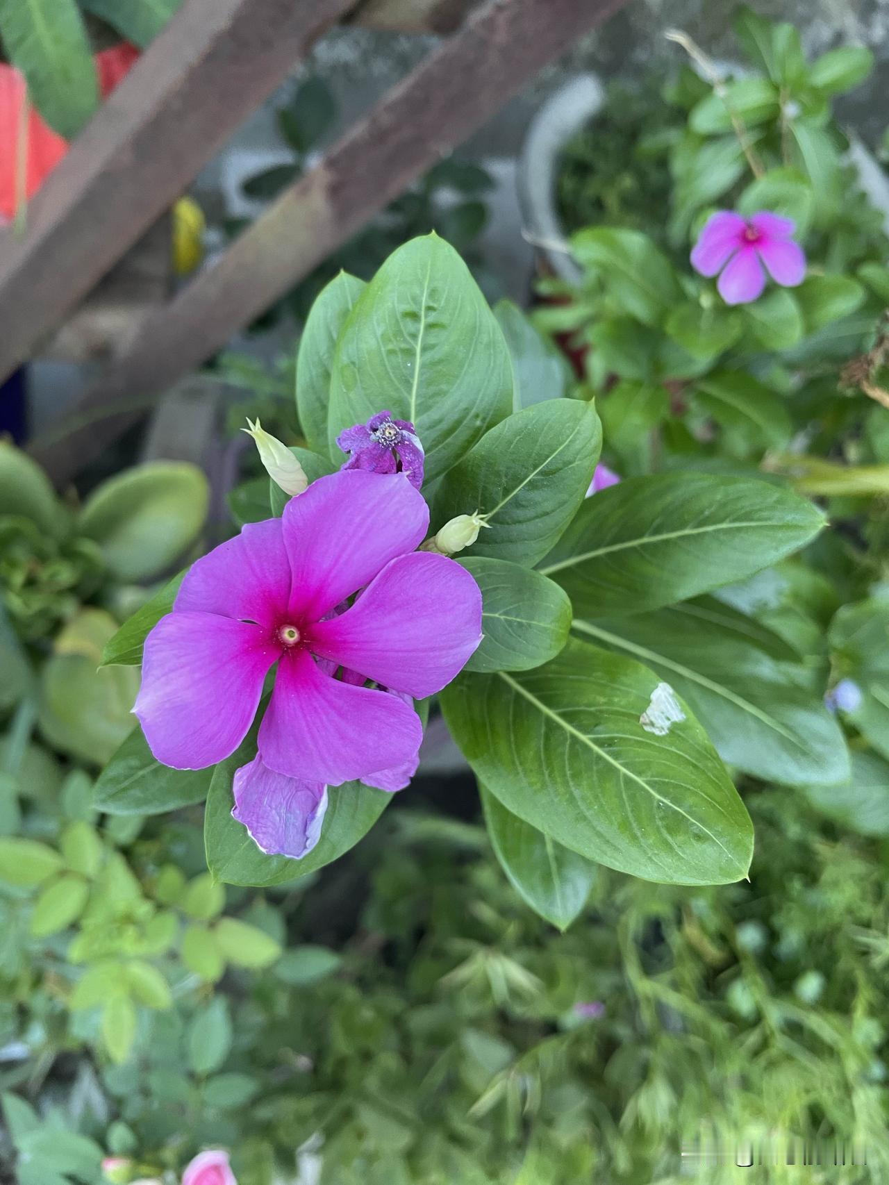 这样的男人，老婆要和他离婚，真不怨老婆。一男子33岁，和老婆结婚6年，现在因为他