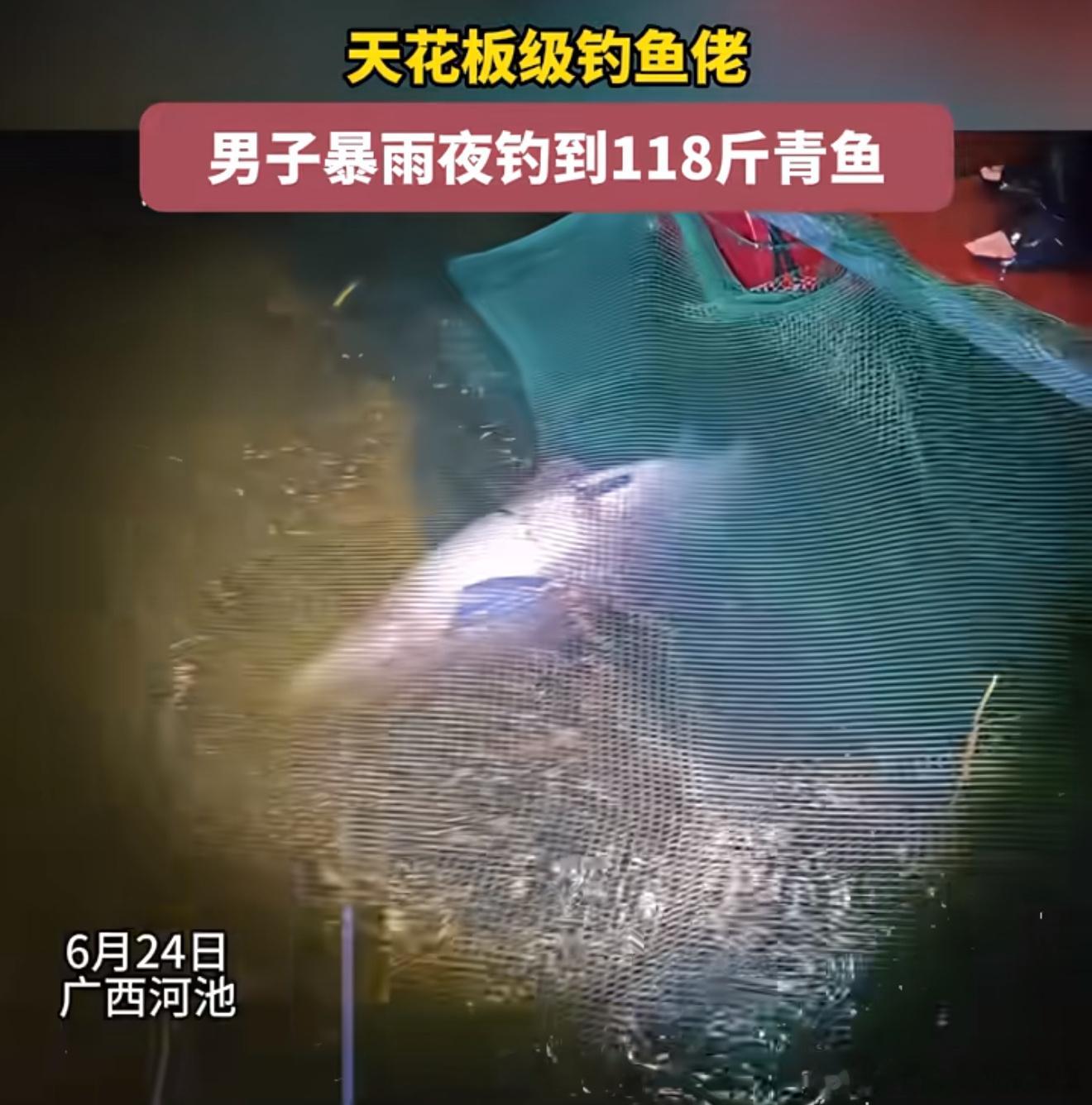 男子暴雨夜钓到118斤青鱼我没钓过鱼，好奇钓鱼的钩子和线那么细，怎么把大鱼钩住的