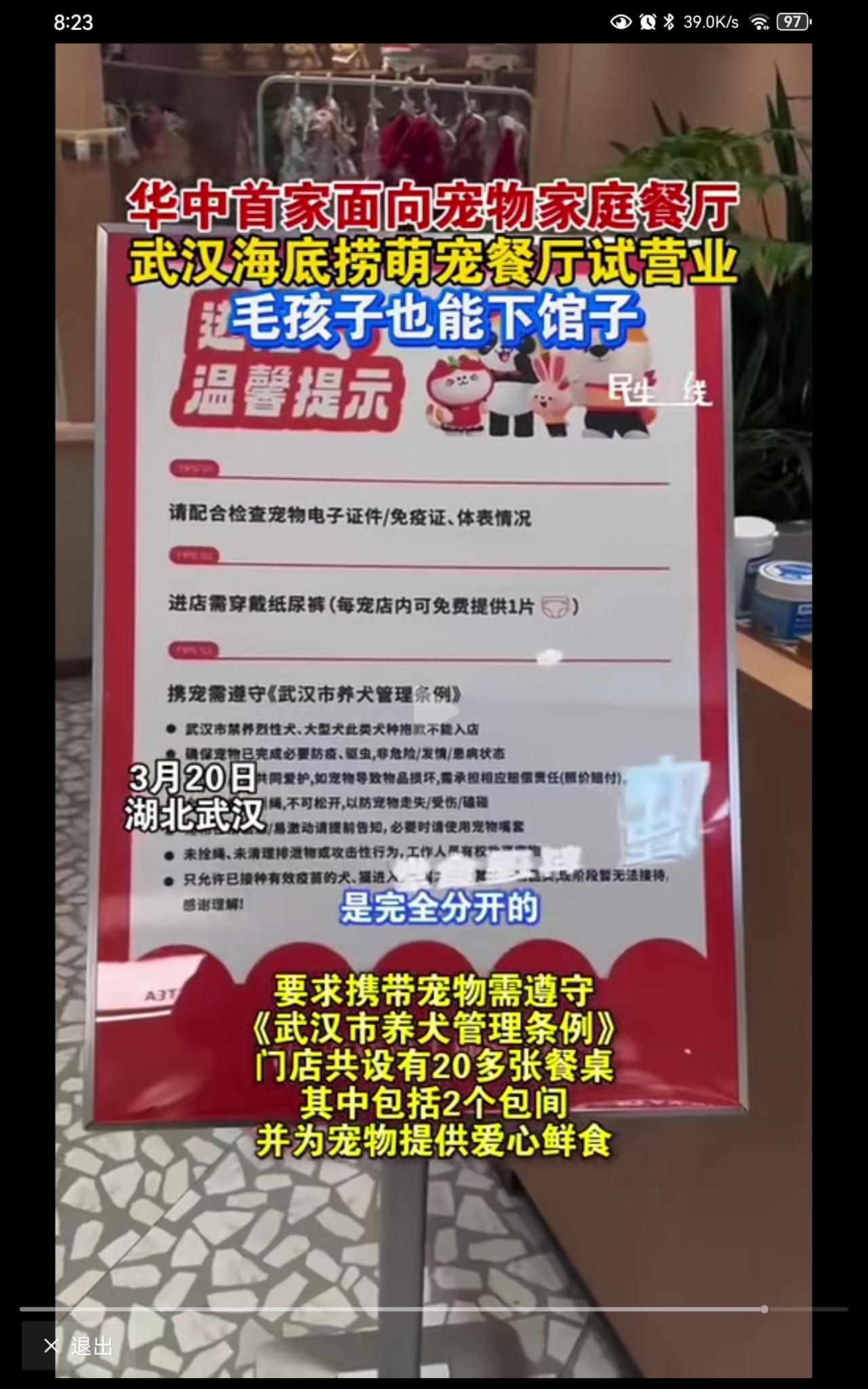 我支持这种狗餐厅，对宠物友好餐厅，自愿选择原则。