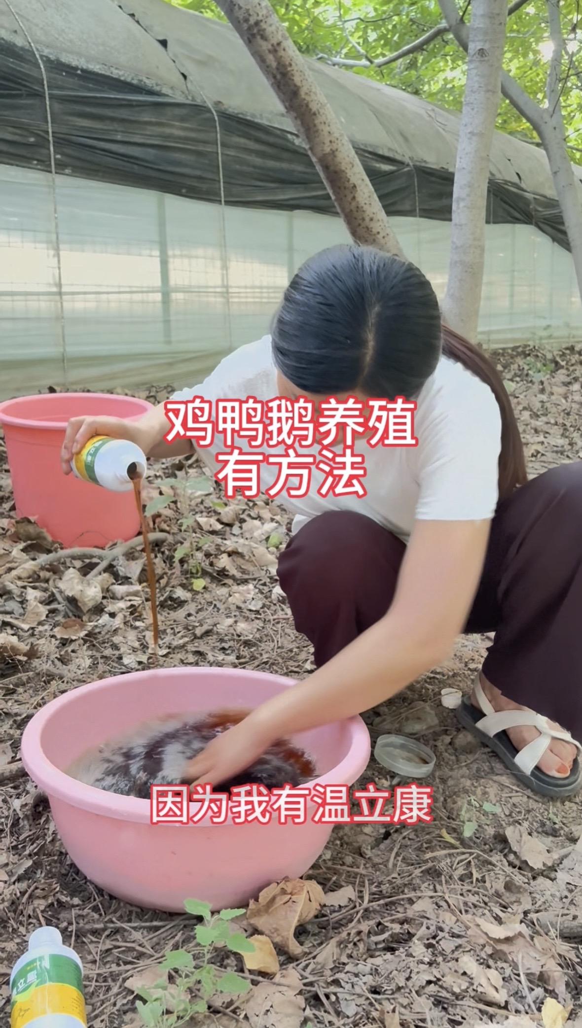 用上它，四季养殖没烦恼