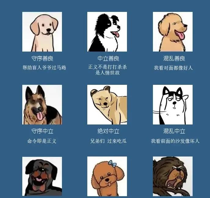 警犬多是德牧因为没有明显短板