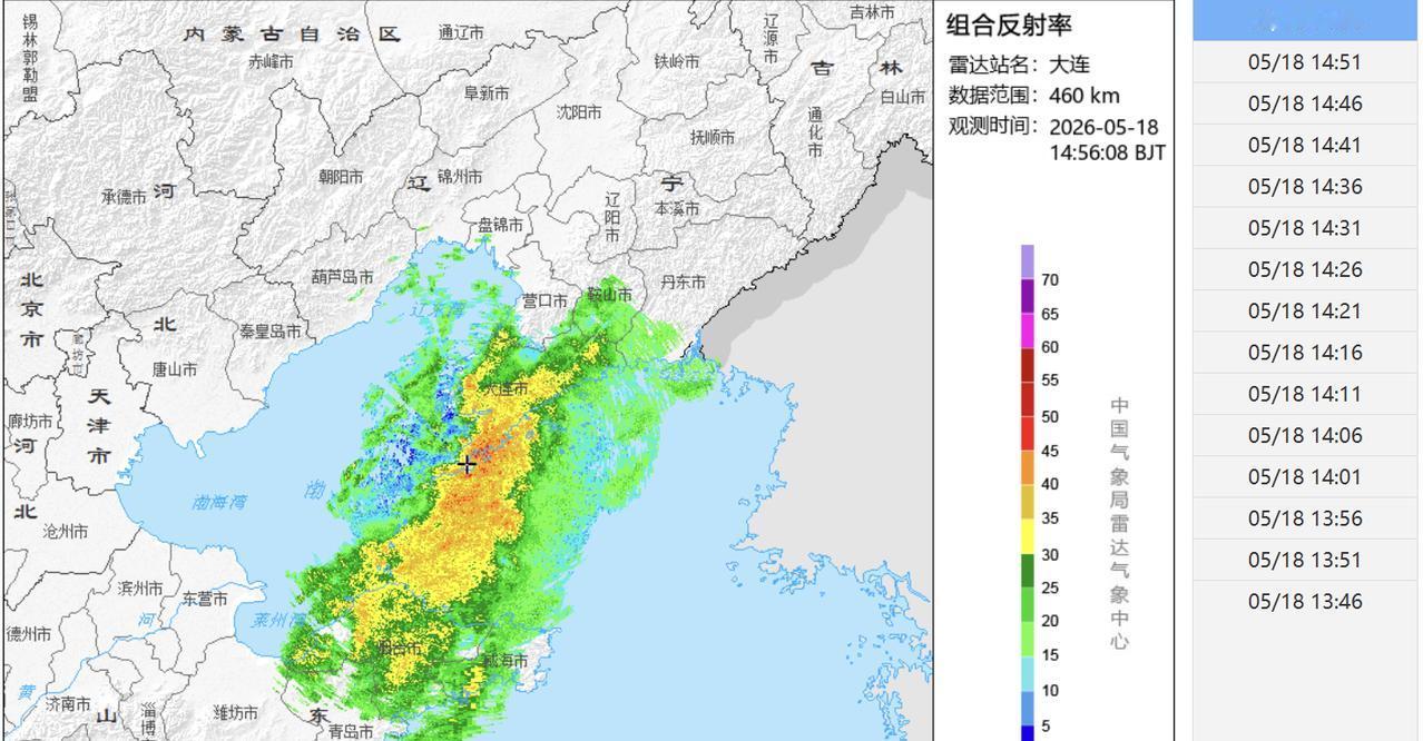 下午15：15市区天气雨，气温15.9度，相对湿度97%，吹偏南风，目前大连大部