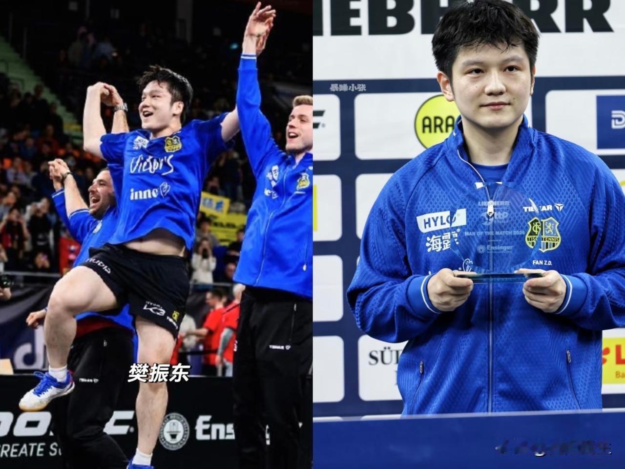 刚听说樊振东在德国拿了冠军，奖金揣兜里还没热乎呢，估计转头又要存起来或者捐了