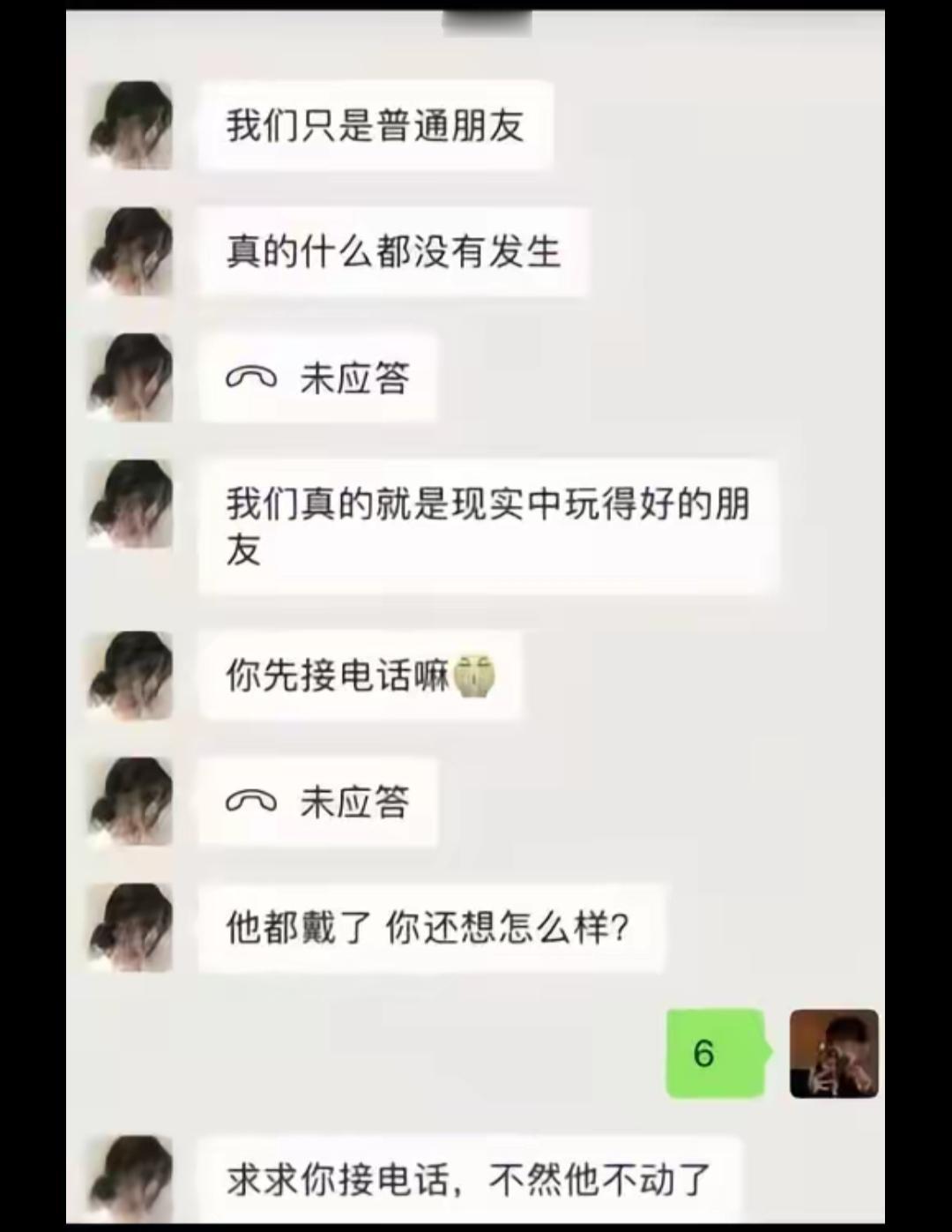 最后一句话砂仁猪心