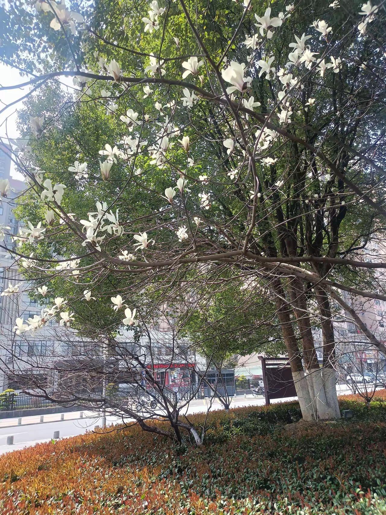 有多少人，是被自己老伴活活折磨死的。​上周五，小姑的公公过世了。我们去悼唁，听