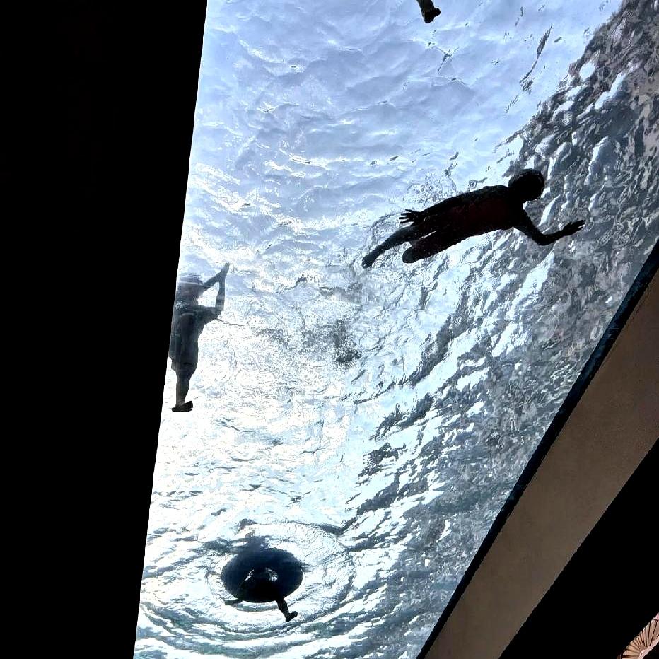 今天刷到一个视频，看得我头皮发麻。云南西双版纳，一姑娘住酒店想拉窗帘透气，手刚