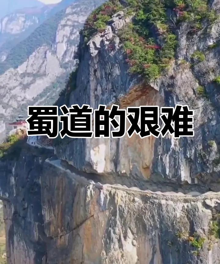 蓉城势头不减，欲保头把交椅中超四强提前出赛，明日蓉城战亚泰，球迷大多看好蓉城，