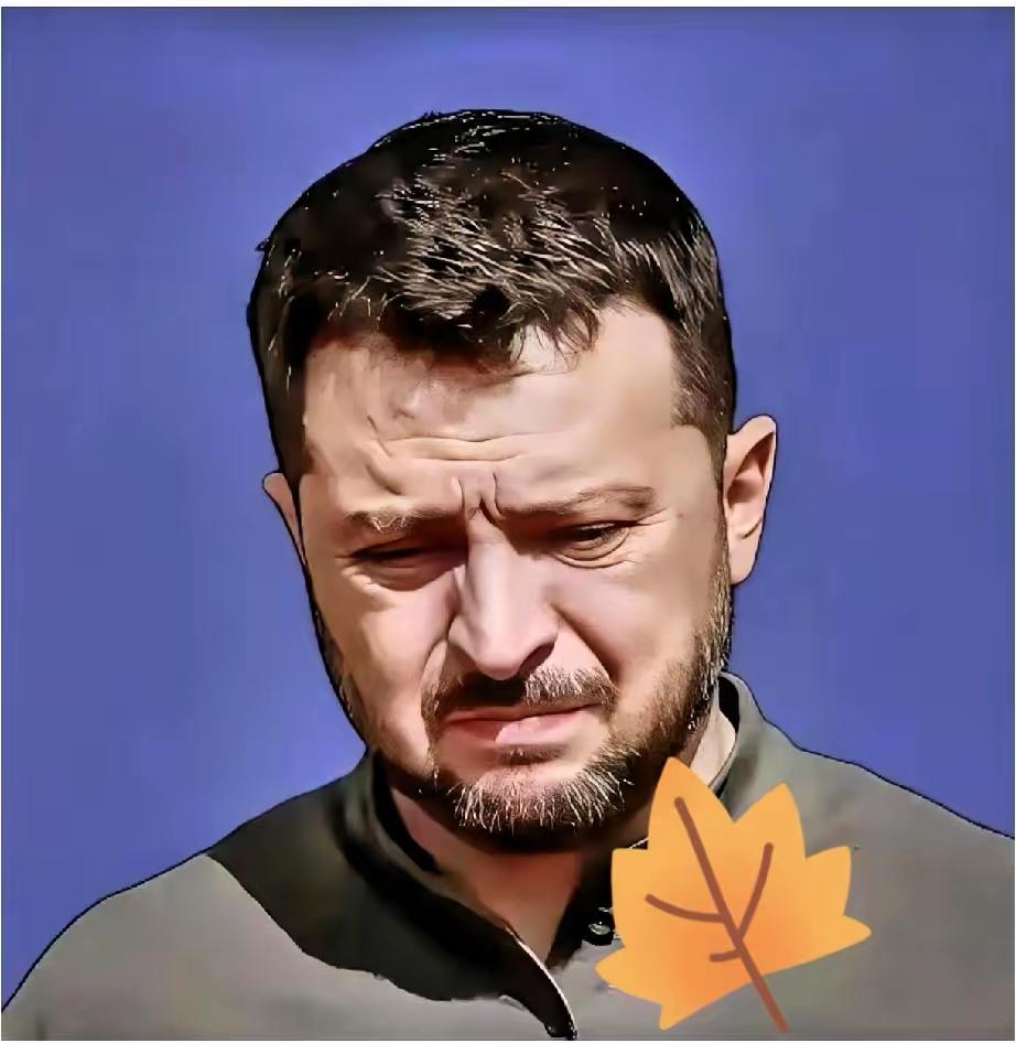 果然没猜错！​乌克兰总统办公室正式官宣！​​2025年11月21日乌克兰总统