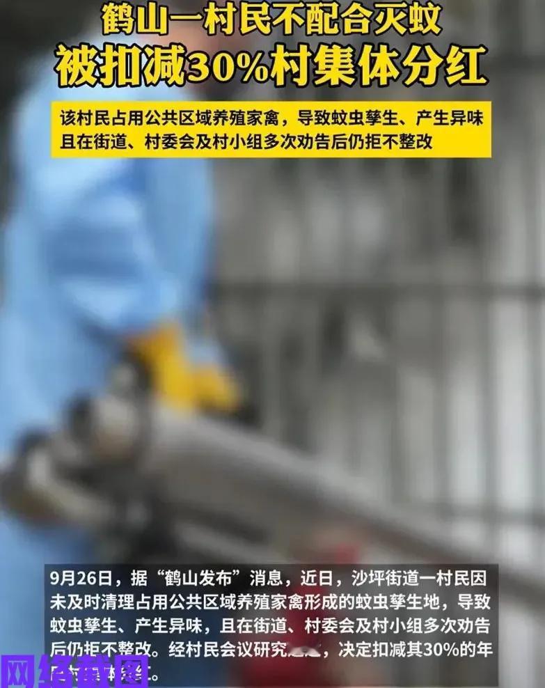 广东鹤山有村子最初对村民们有号召。当时号召全村灭蚊活动，当其他人都在积极配合