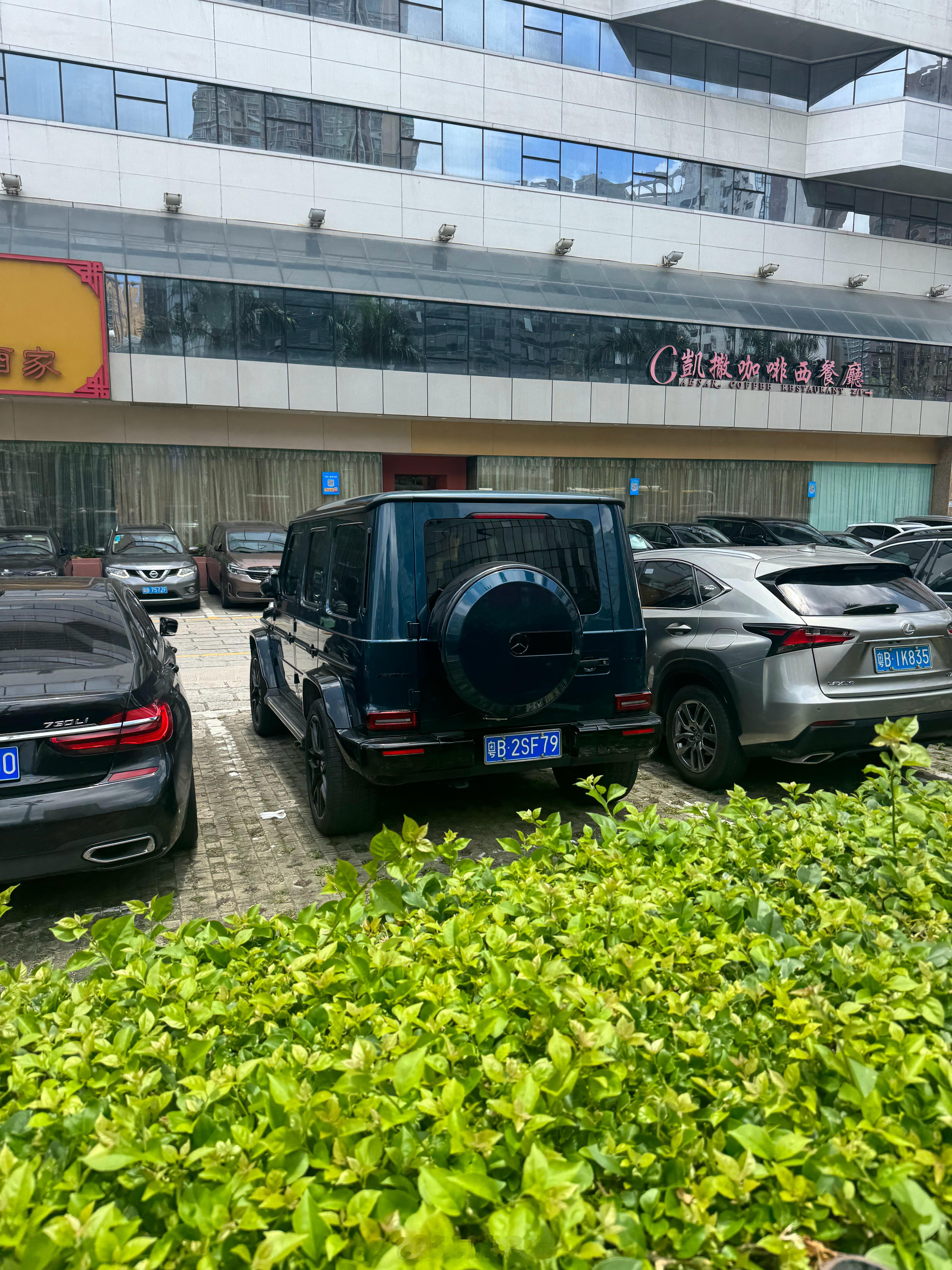 这个颜色的大G有点帅啊​​​