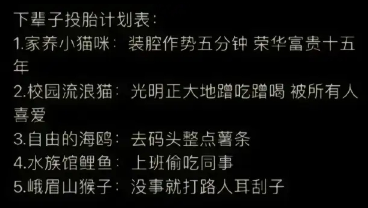 下辈子投胎计划表：​​​