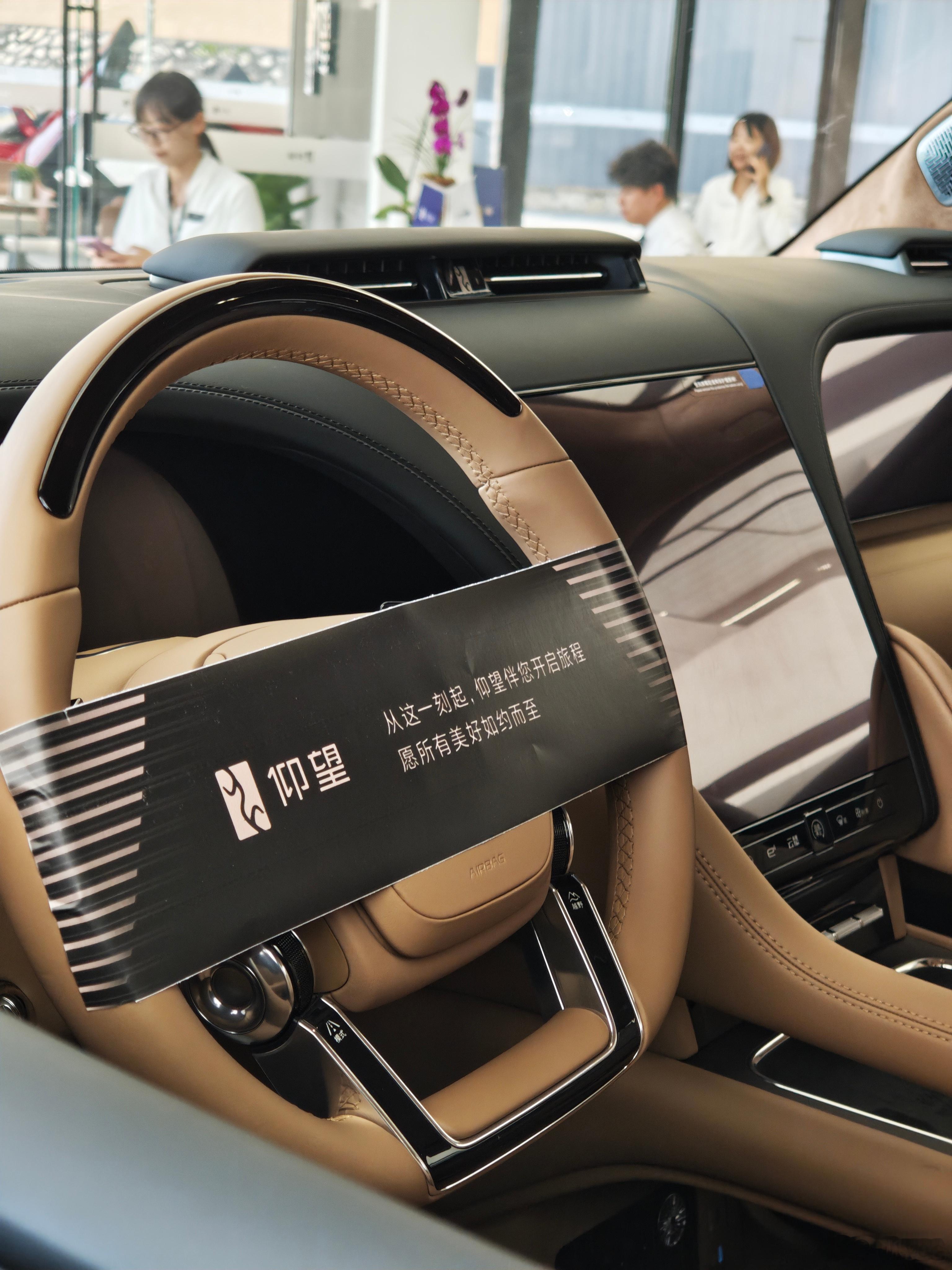 原来草稿箱里还有仰望U8L，简单说几句吧。那天目睹了他们的提车仪式，不得不说，非