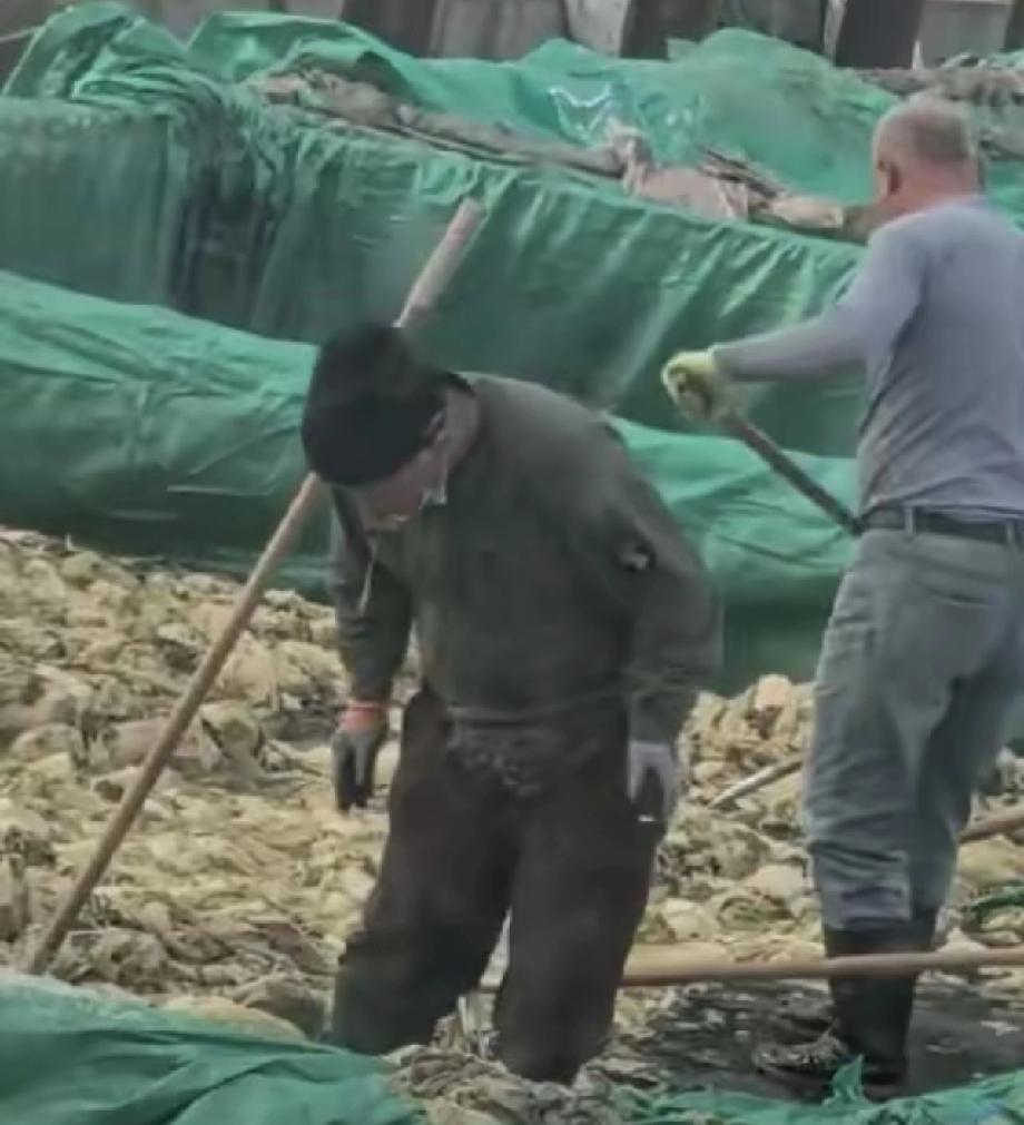 葫芦岛某酸菜企业员工在酸菜的加工现场随意吐痰，并且在现场随意抽!这就是为啥东北