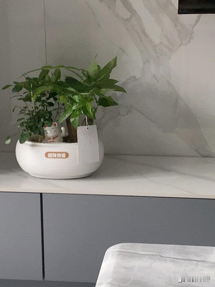 年轻的郑好为何不如老前辈受欢迎?上联：酒，喝酒，喝喜酒，求下联爱一个人能持续