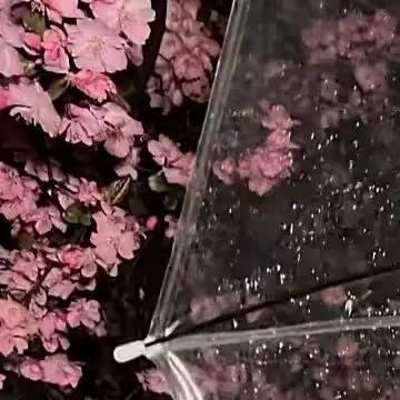 0000葡萄的种植方法：一、场地选择：葡萄生长需要充足的阳光，所以要选择光照好的