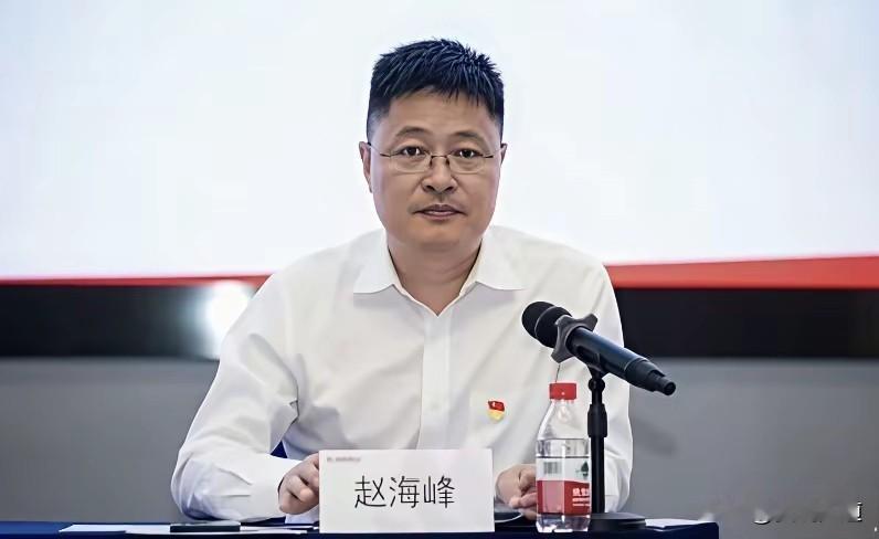 酒桌上推杯换盏，西装革履，一派体面。央企高管加副区长，身份光鲜，头衔亮眼。