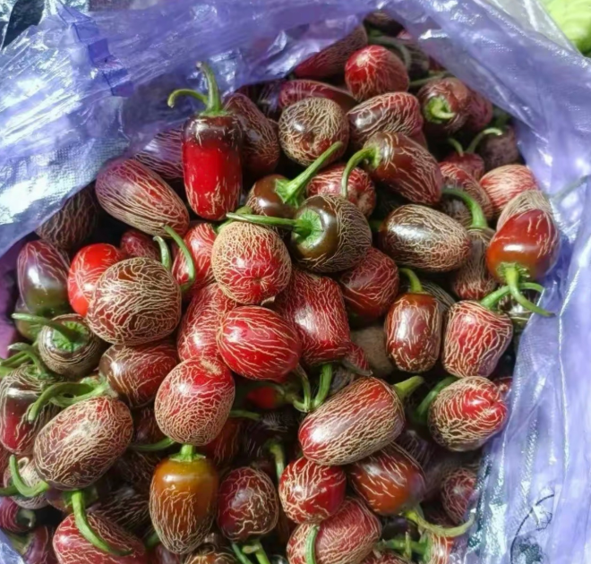 有知道这是什么果的不，真是第一次见这种美食