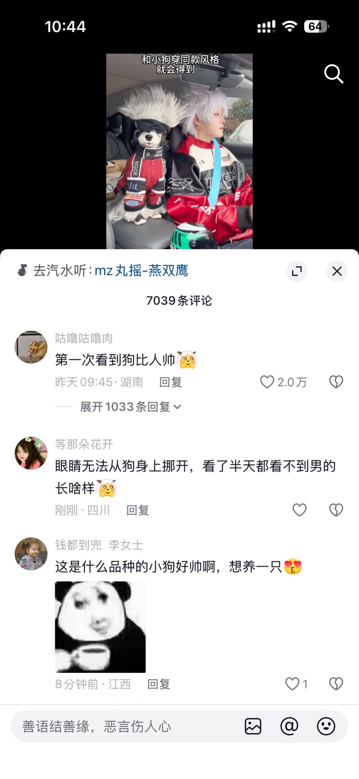 你别说，你真别说，这小奶狗我是真喜欢