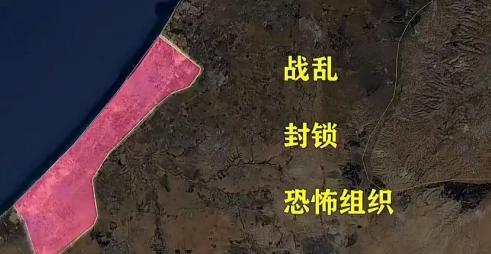中国宣布，正式加入“法英日加”群聊，战局即将扭转！9月5日，中国正式宣布加入《
