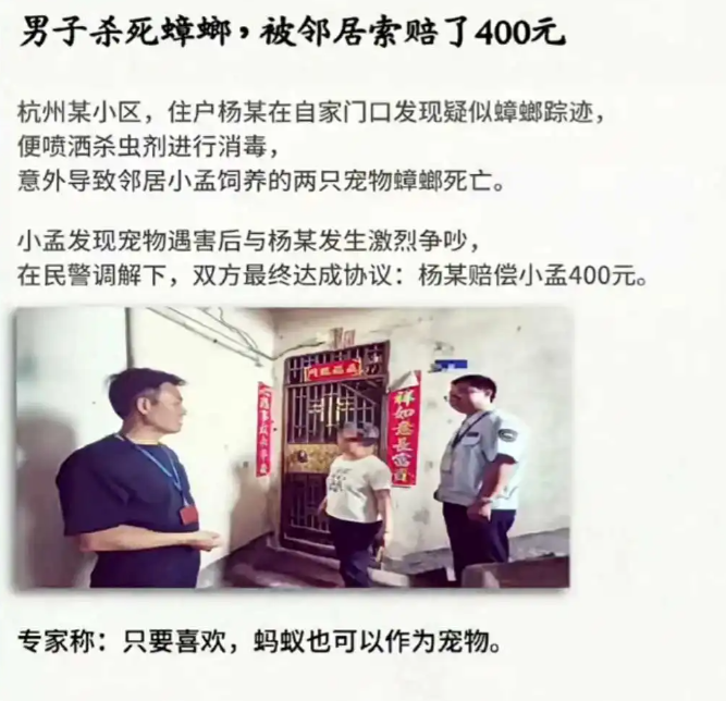 世界上最搞笑的事，终于发生了！