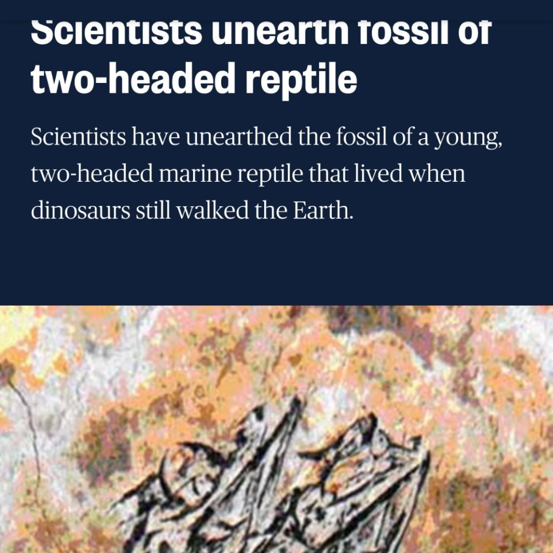 目前为止中国科学家发现的最早的双头龙​​​