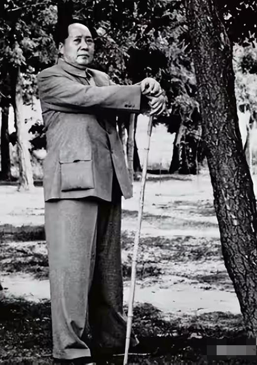 别只说毛主席的诗气势磅礴！最深入人心的，从来不是华丽辞藻，而是藏在诗句里的绝境中