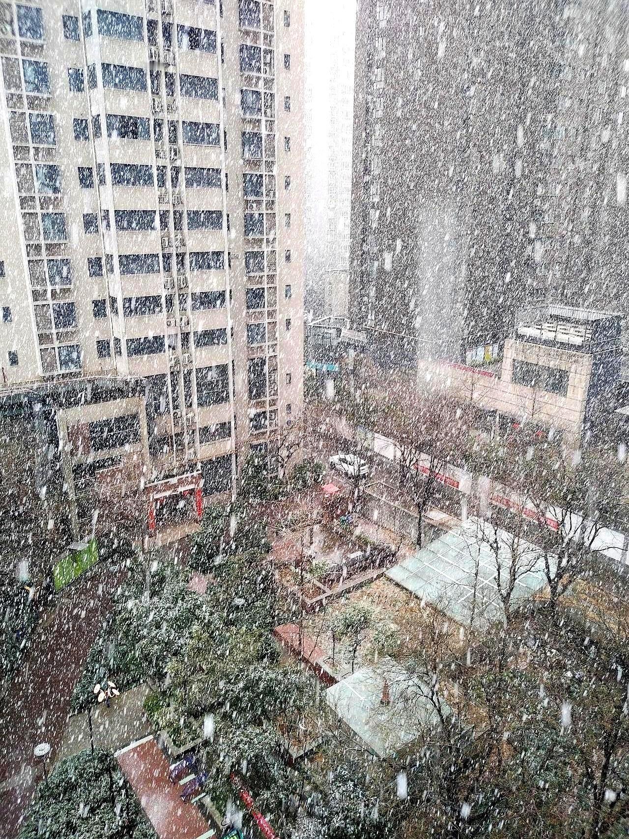 过年回家，节后死活不肯再回养老院，95岁的老爷子哭得像个孩子子女们个个面露难色